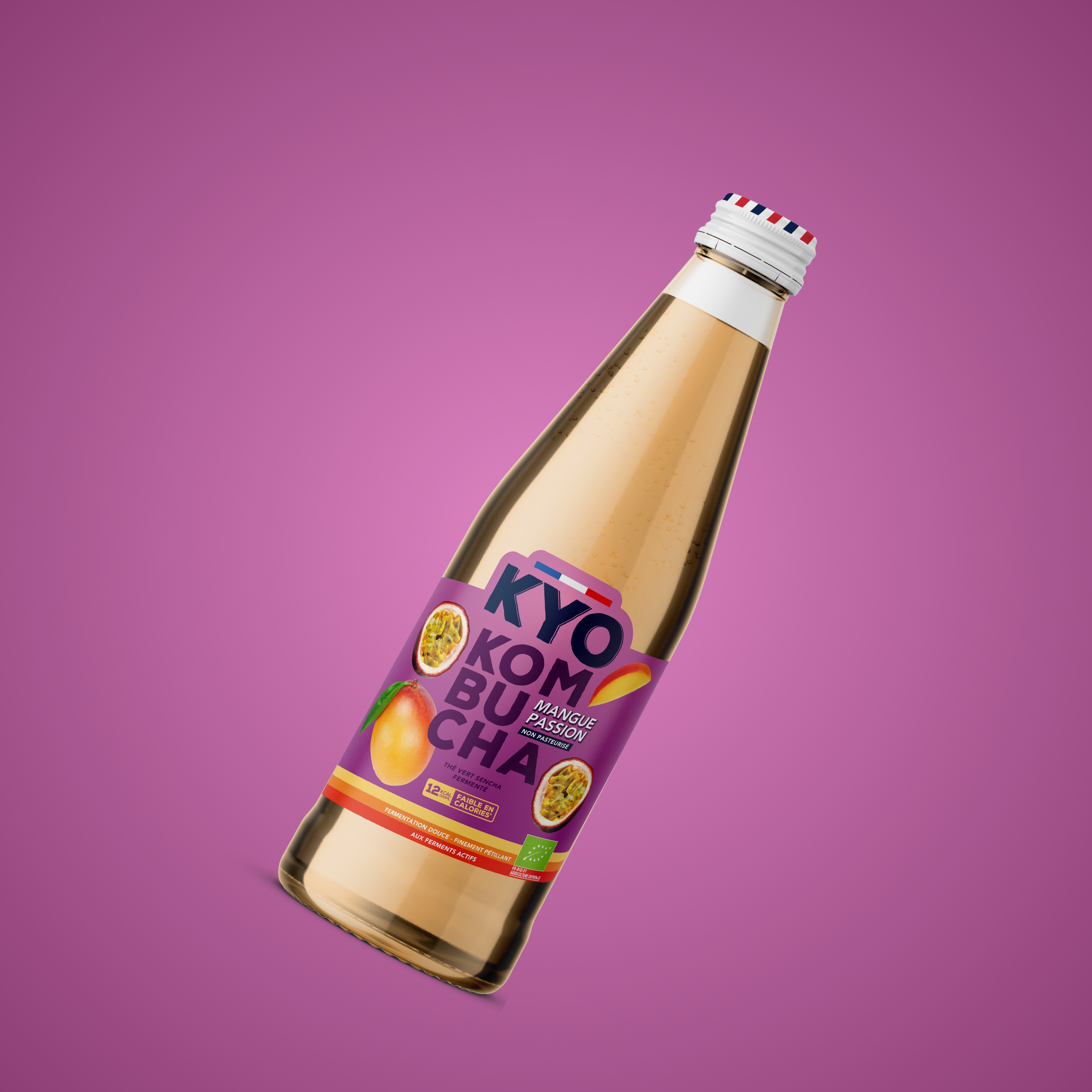 Vive Mangue Passion