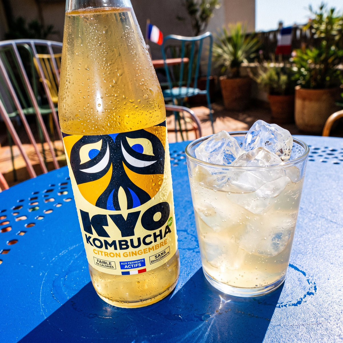 KYO Kombucha Citron Gingembre