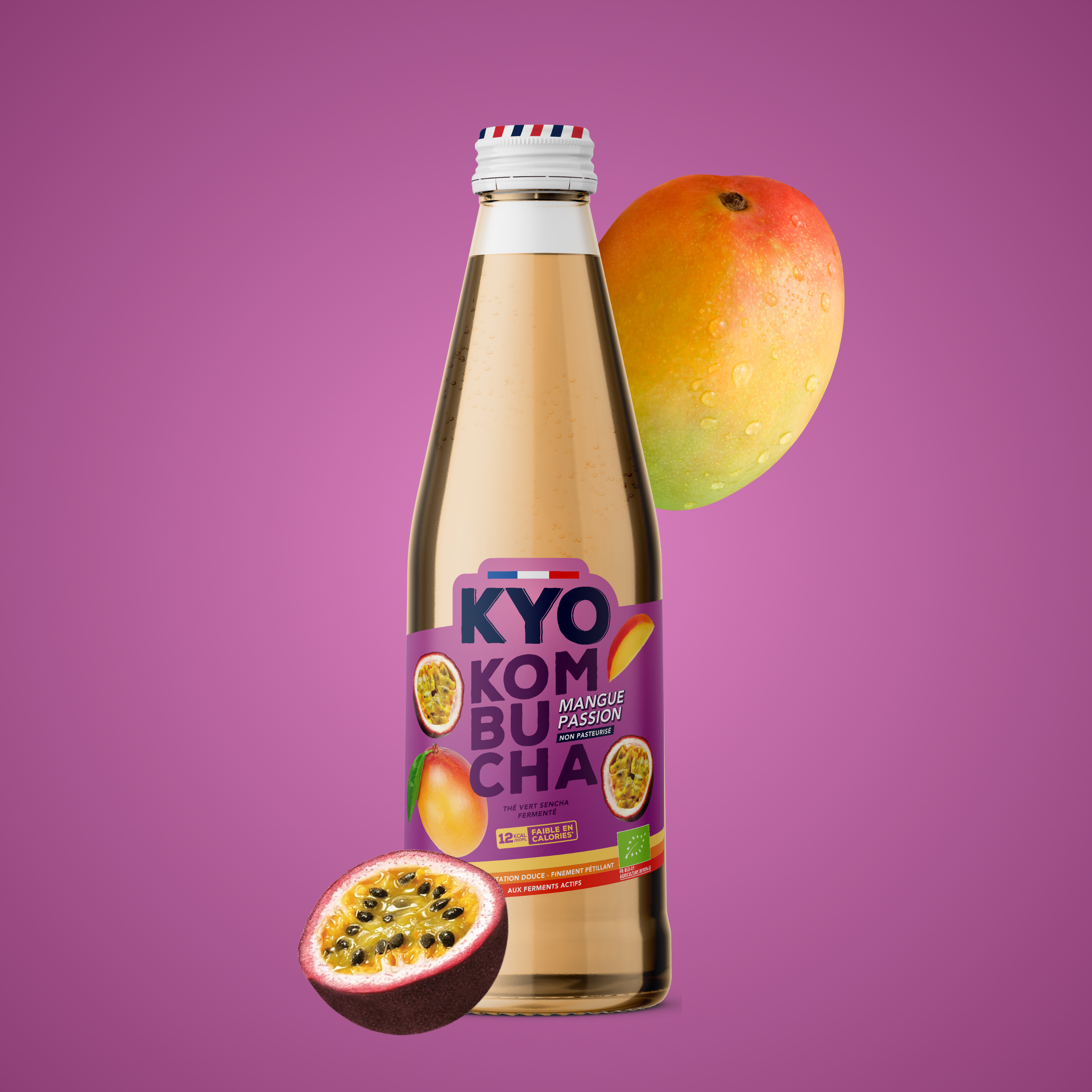 Vive Mangue Passion
